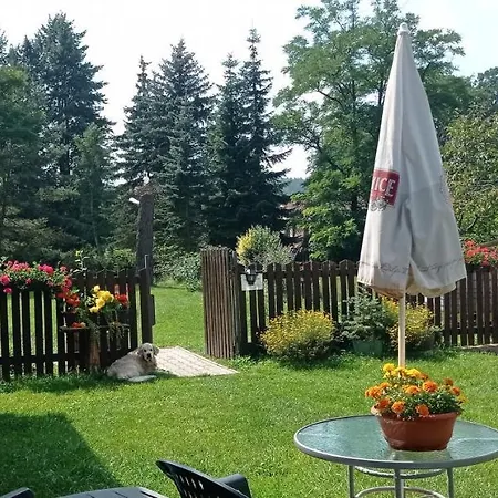 Ralsko 2 * Hradcany (Kurivody)